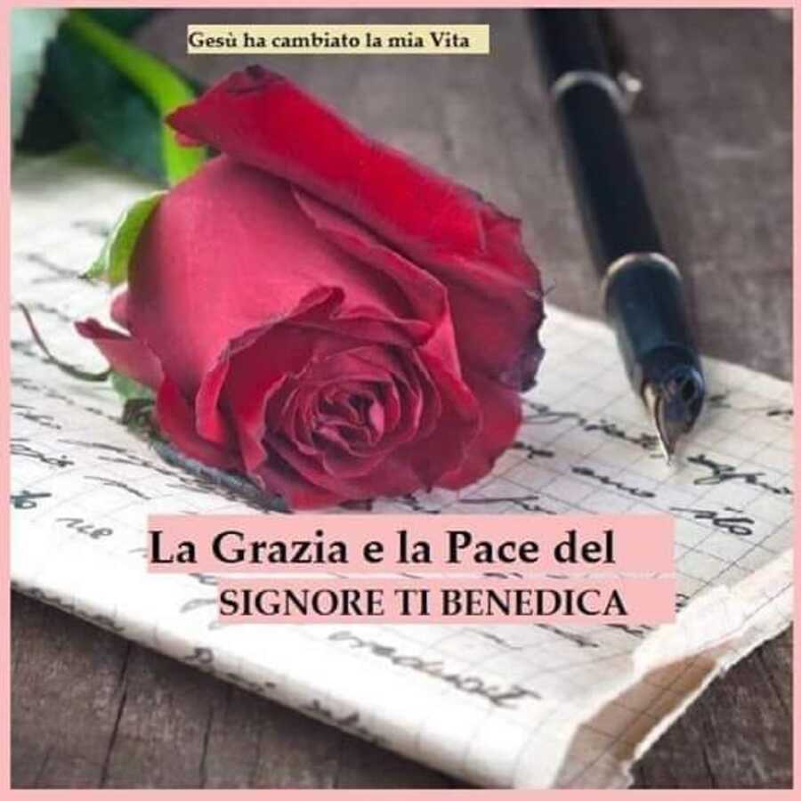 La Grazia e la Pace del Signore ti benedica
