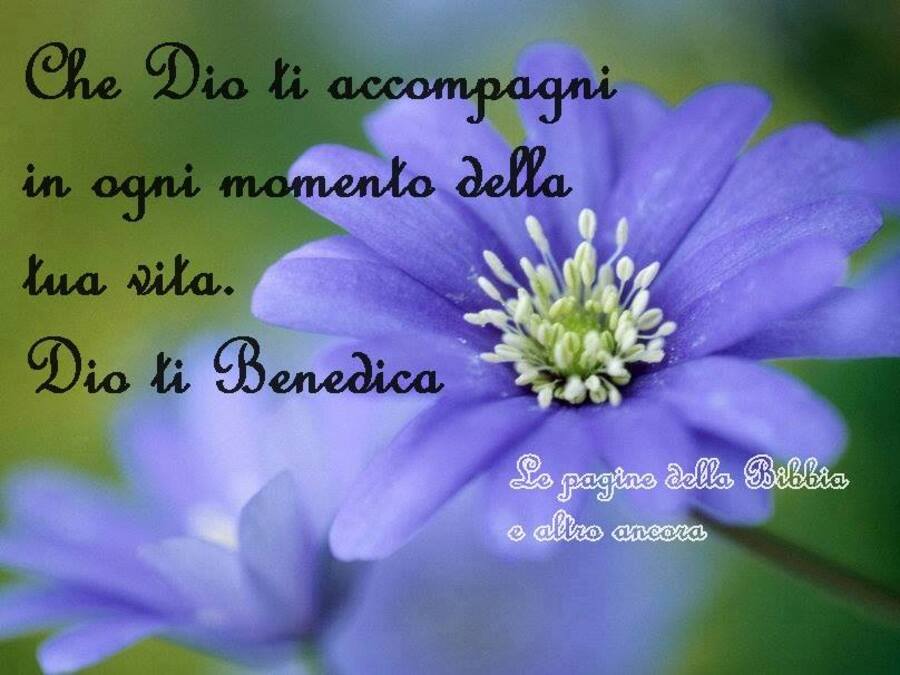 Che Dio ti accompagni in ogni momento della tua vita. Dio ti Benedica
