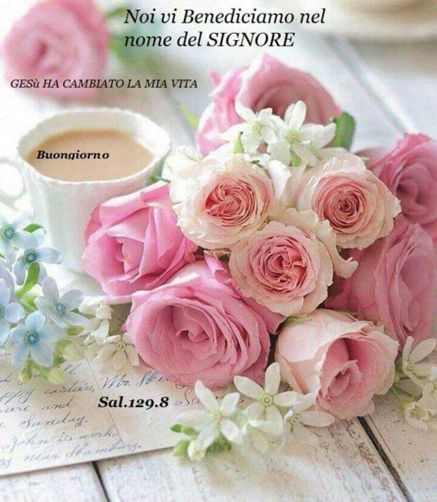 Noi vi Benediciamo nel nome del Signore
