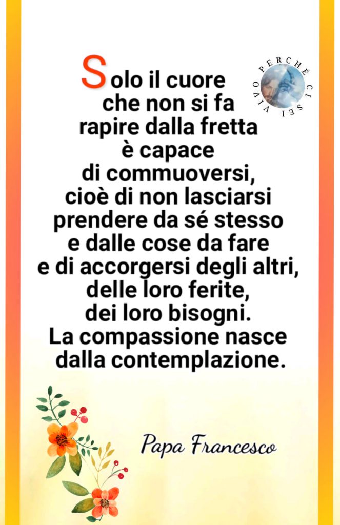 Solo il cuore che non si fa rapire dalla fretta è capace di commuoversi, cioè di non lasciarsi prendere da sé stesso e dalle cose da fare e di accorgersi degli altri, delle loro ferite, dei loro bisogni. La compassione nasce dalla contemplazione!