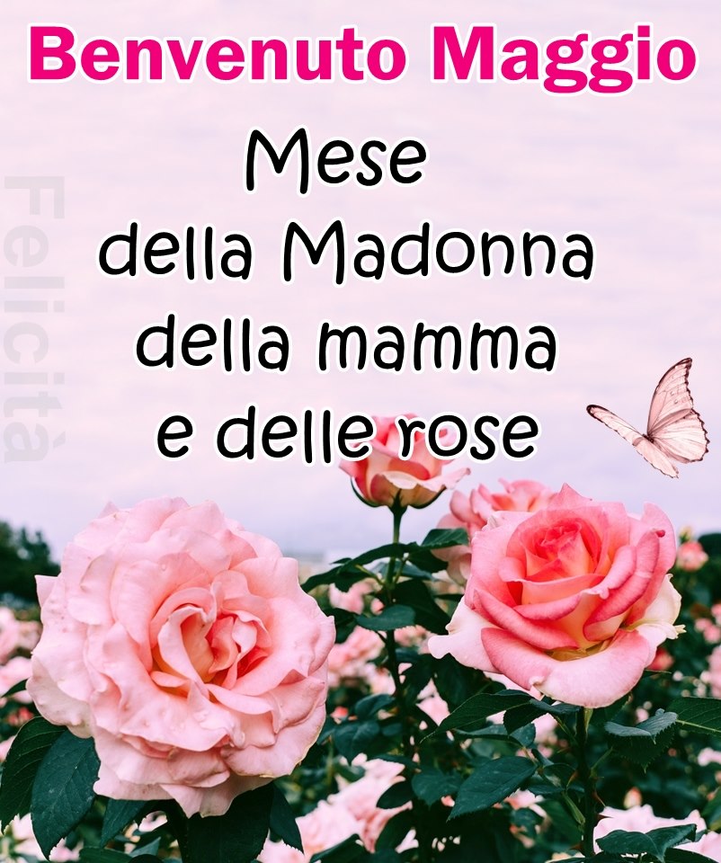 Benvenuto Maggio Mese della Madonna della mamma e delle rose 