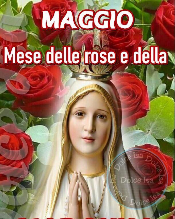 Maggio mese delle rose e della Madonna
