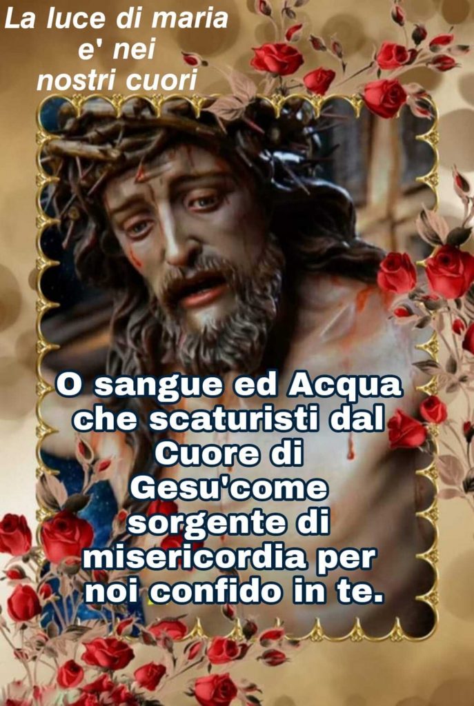 O sangue ed Acqua che scaturisti dal Cuore di Gesù come sorgente di misericordia per noi confido in Te