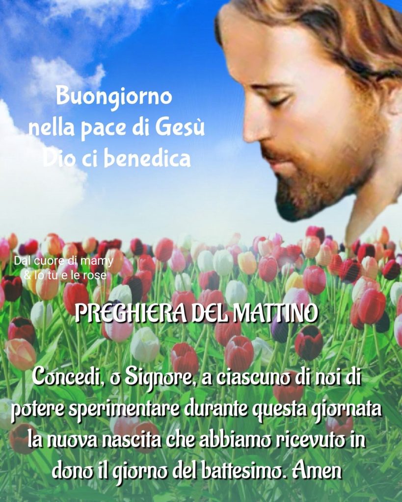 Preghiera del Mattino Concedi, o Signore, a ciascuno di noi di potere sperimentare durante questa giornata la nuova nascita che abbiamo ricevuto in dono il giorno del battesimo. Amen