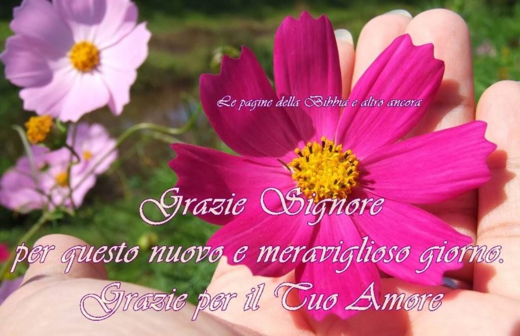 Grazie Signore per questo nuovo e meraviglioso giorno. Grazie per il Tuo Amore