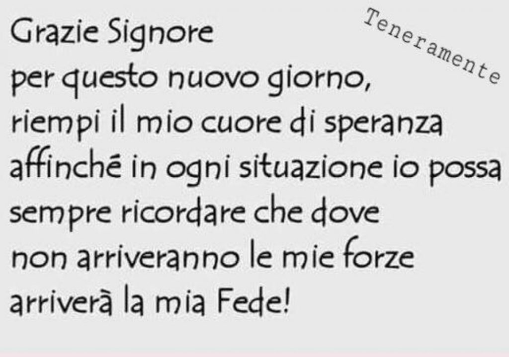 Grazie Signore per questo nuovo giorno, riempi il mio cuore di speranza affinché in ogni situazione io possa sempre ricordare che dove non arriveranno le mie forze arriverà la mia Fede!