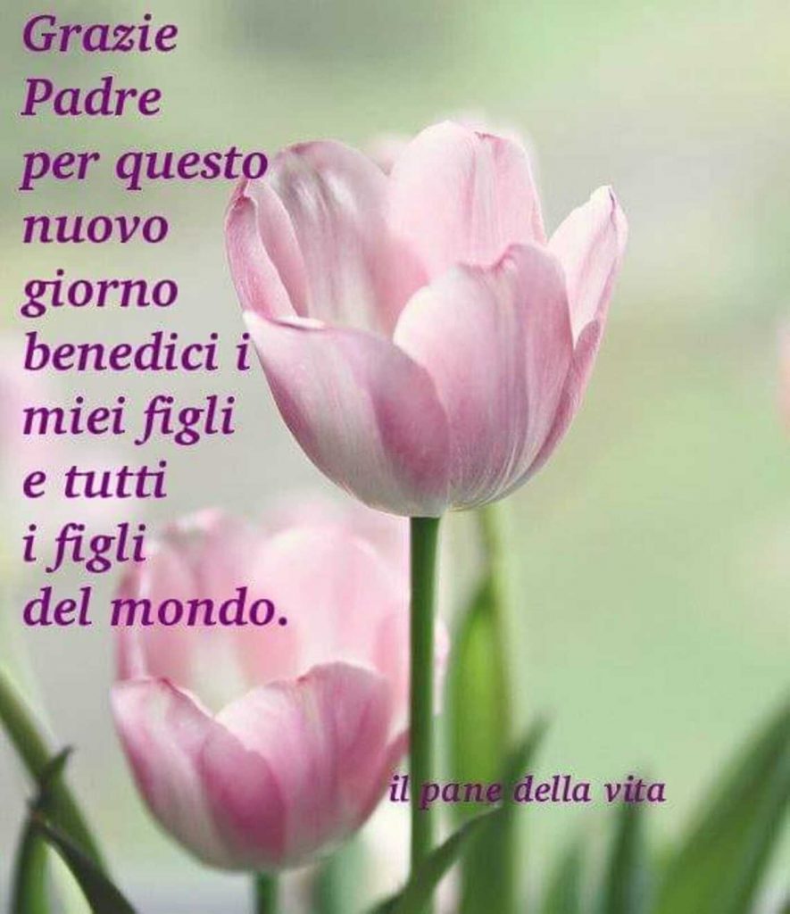 Grazie Padre per questo nuovo giorno benedici i miei figli e tutti i figli del mondo