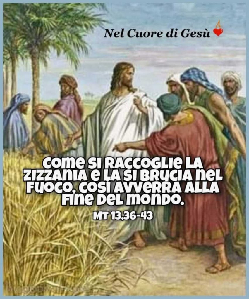 Come si raccoglie la zizzania e la si brucia nel fuoco, così avverra alla fine del mondo Mt 13, 36-43