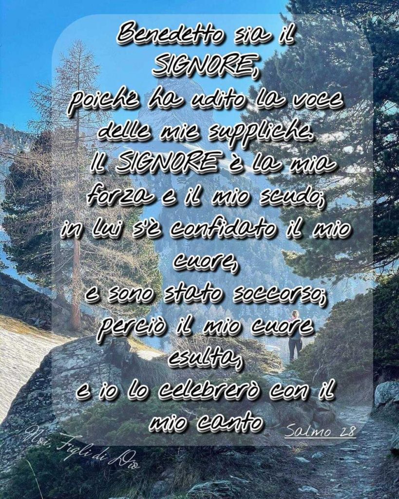 Benedetto sia il Signore, poiché ha uudito la voce delle mie suppliche. Il Signore è la mia forza e il mio scudo; in lui s'è confidato il mio cuore, e sono stato soccorso; percié il mio cuore esulta, e io lo celebrerò con il mio canto Salmo 28