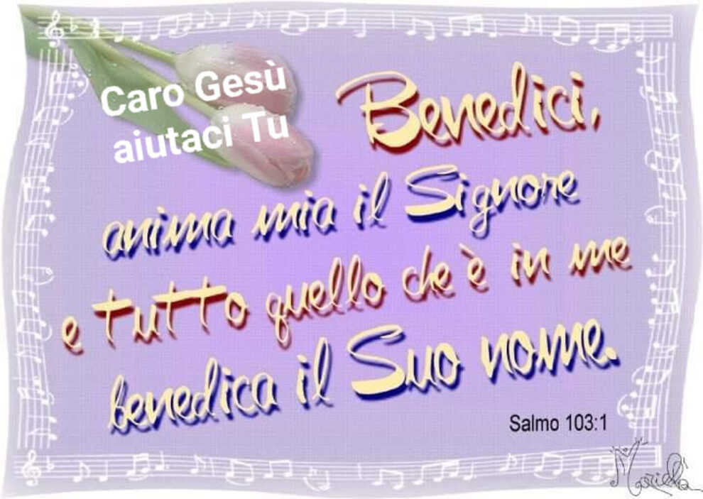 Benedici, anima mia il Signore e tutto quello che è in me benedica il Suo nome (Salmo 103:1)