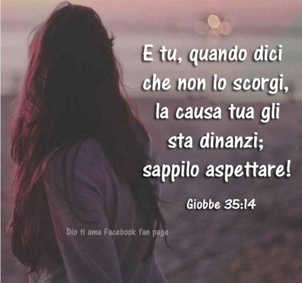 E tu, quando dici che non lo scorgi, la causa tua gli sta dinanzi; sappilo aspettare! Giobbe 35:14