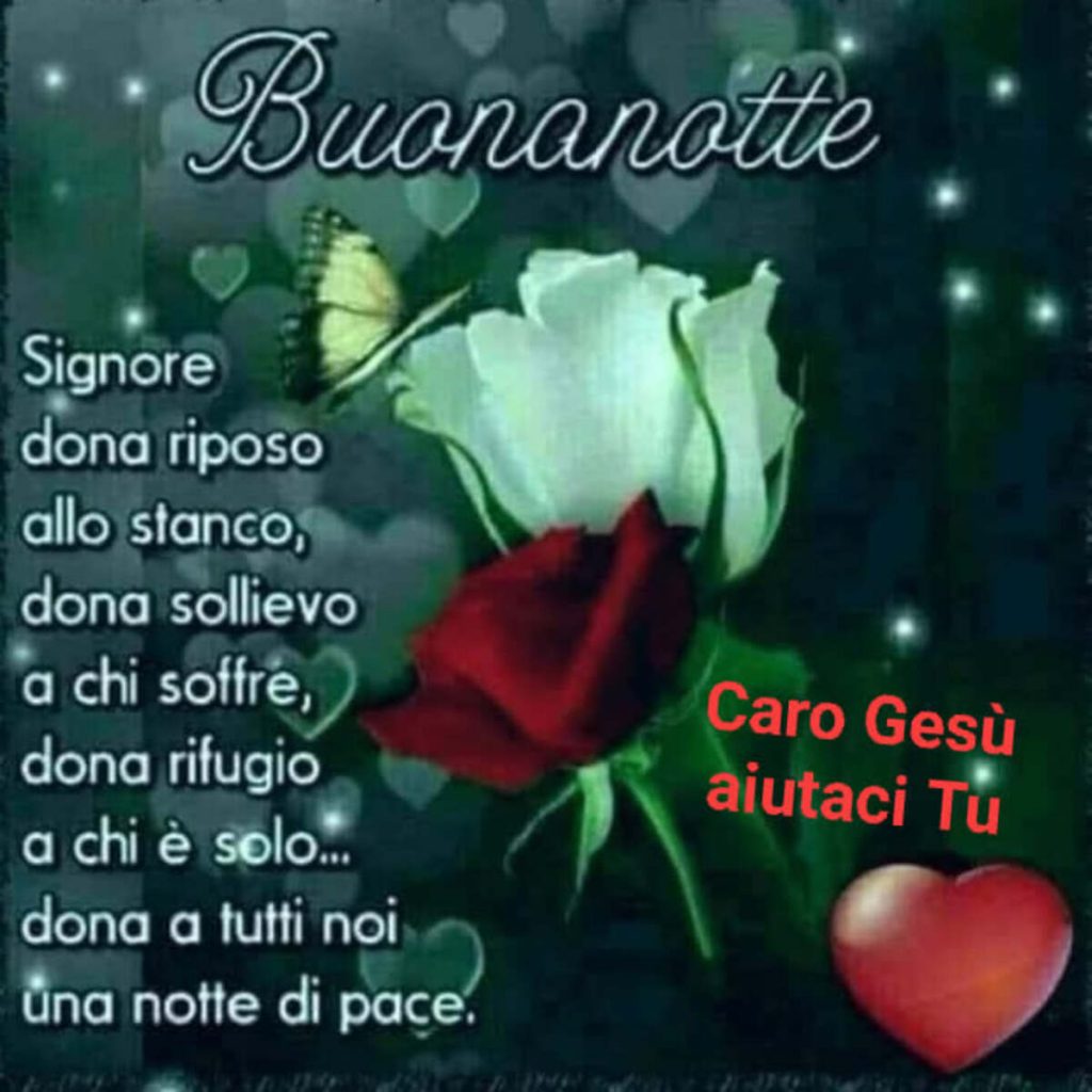 Buonanotte Signore dona riposo allo stanco, dona sollievo a chi soffre, dona rifugio a chi è solo....dona a tutti noi una notte di pace