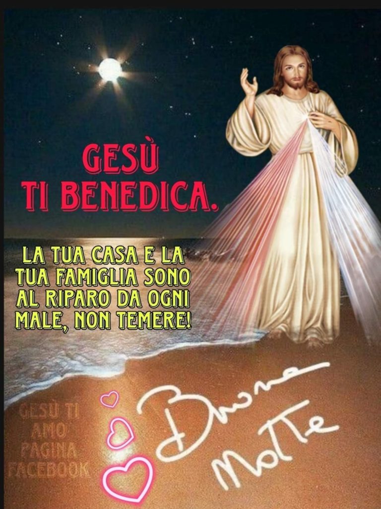 Gesù ti benedica. La tua casa e la tua famiglia sono al riparo da ogni male, non temere! Buonanotte