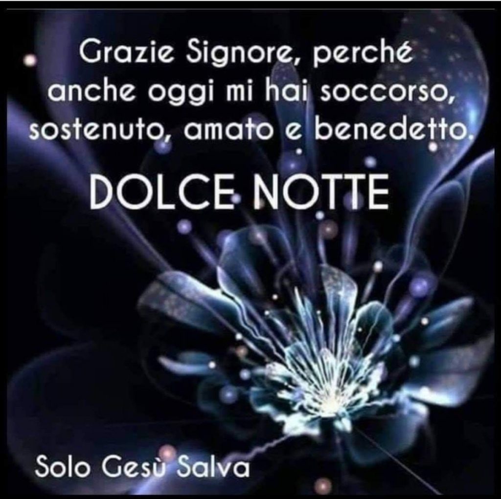 Grazie Signore, perché anche oggi mi hai soccorso sostenuto, amato e benedetto Dolce Notte