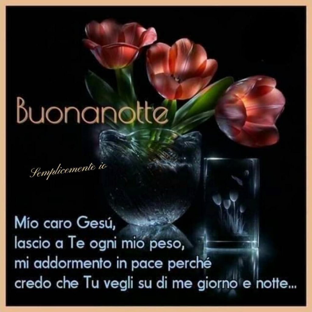 Buonanotte mio caro Gesù, lascio a Te ogni mio peso, mi addormento in pace perché credo che Tu vegli su di me giorno e notte...