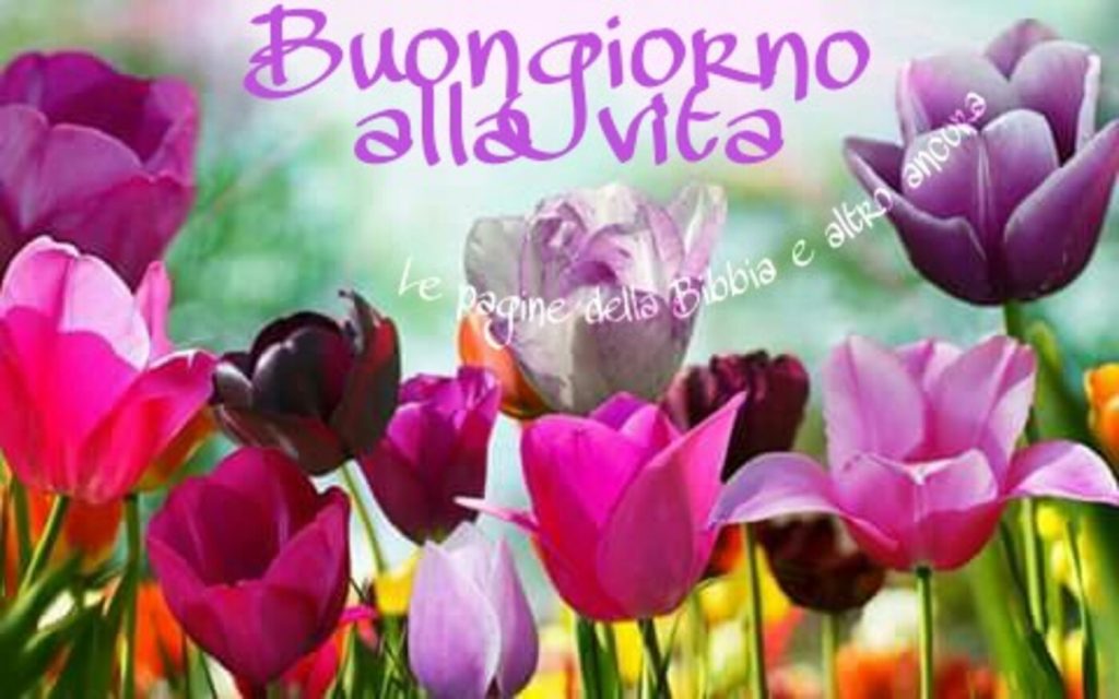 Buongiorno alla vita