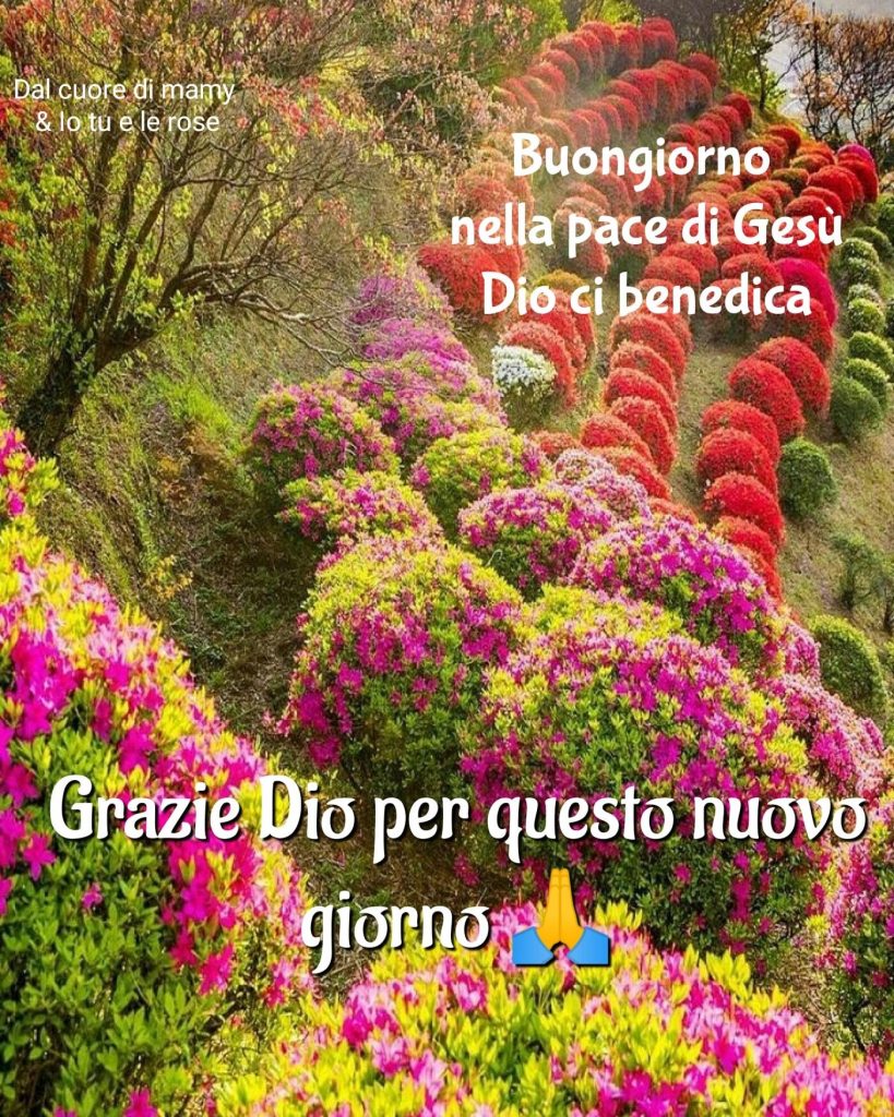 Grazie Dio per questo nuovo giorno