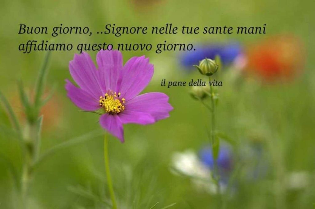 Buon Giorno Signore nelle tue sante mani affidiamo questo nuovo giorno