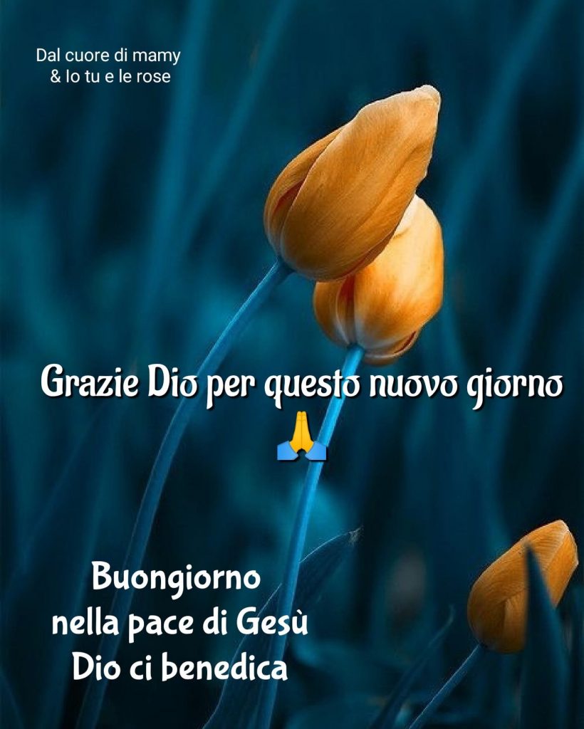 Grazie Dio per questo nuovo giorno 
