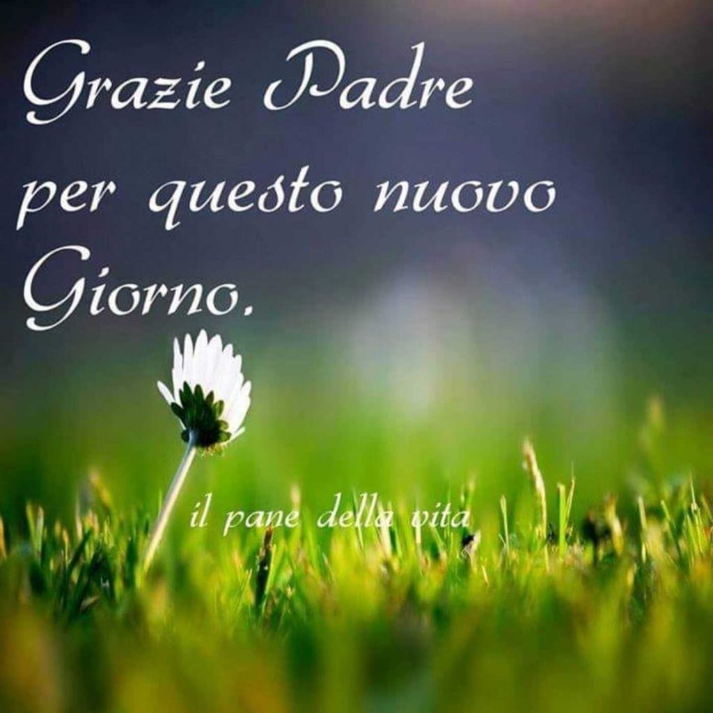 Grazie Padre per questo nuovo giorno