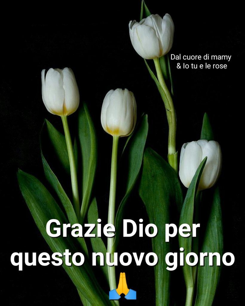 Grazie Dio per questo nuovo giorno