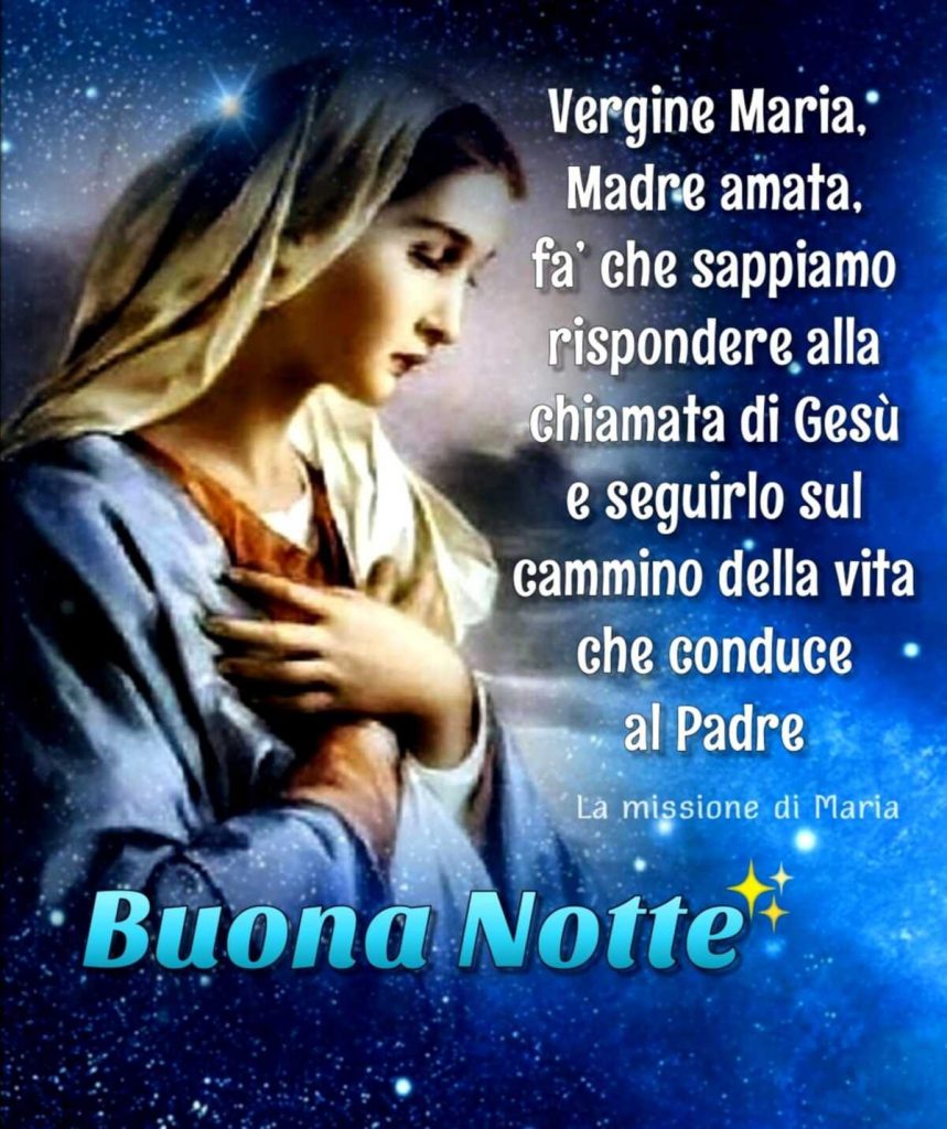 Vergine Maria, Madre amata, fa'che sappiamo rispondere alla chiamata di Gesù e seguirlo sul cammino della vita che conduce al Padre Buona Notte