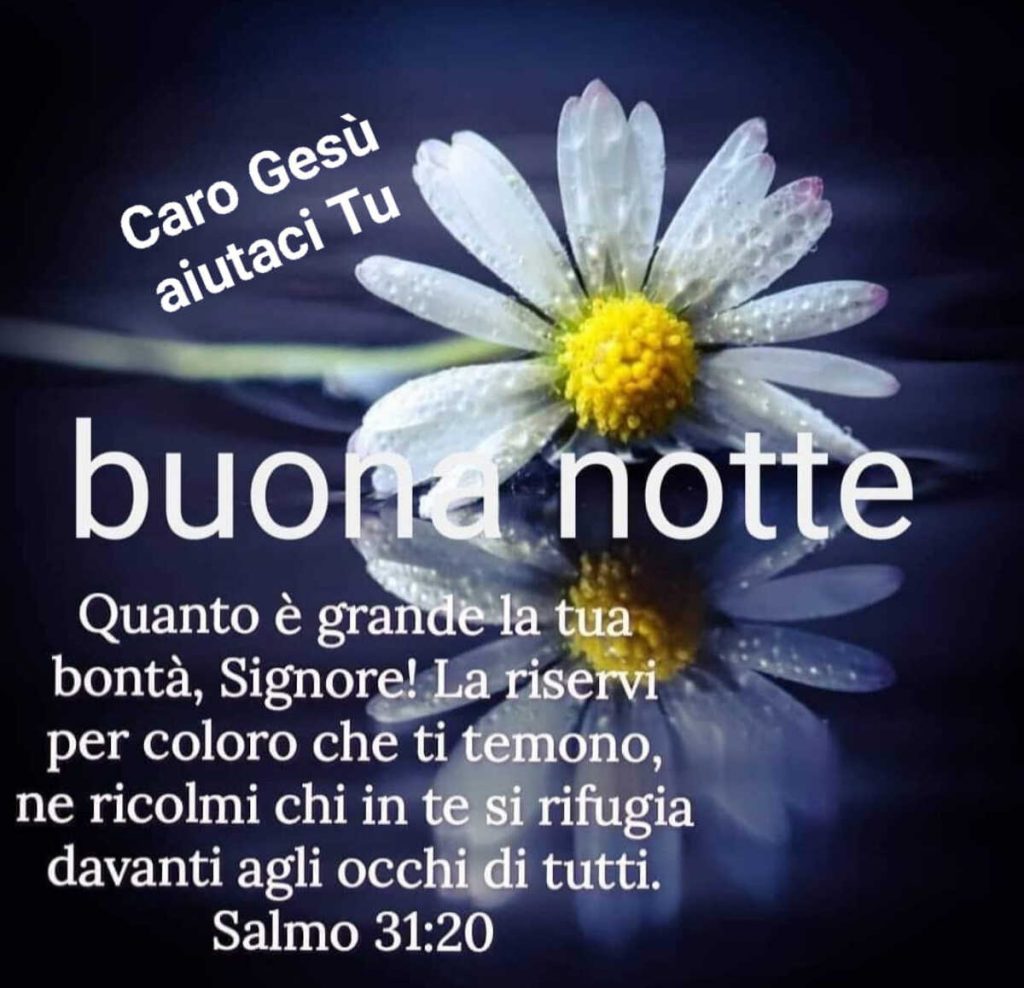 Buona Notte Quanto è grande la tua bontà, Signore! La riservi per coloro che ti temono, ne ricolmi chi in te si rifugia davanti agli occhi di tutti