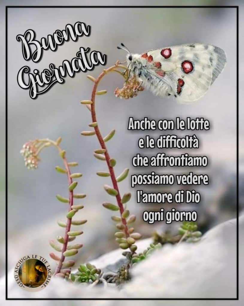 Buona Giornata anche con le lotte e le difficoltà che affrontiamo possiamo vedere l'amore di Dio ogni giorno