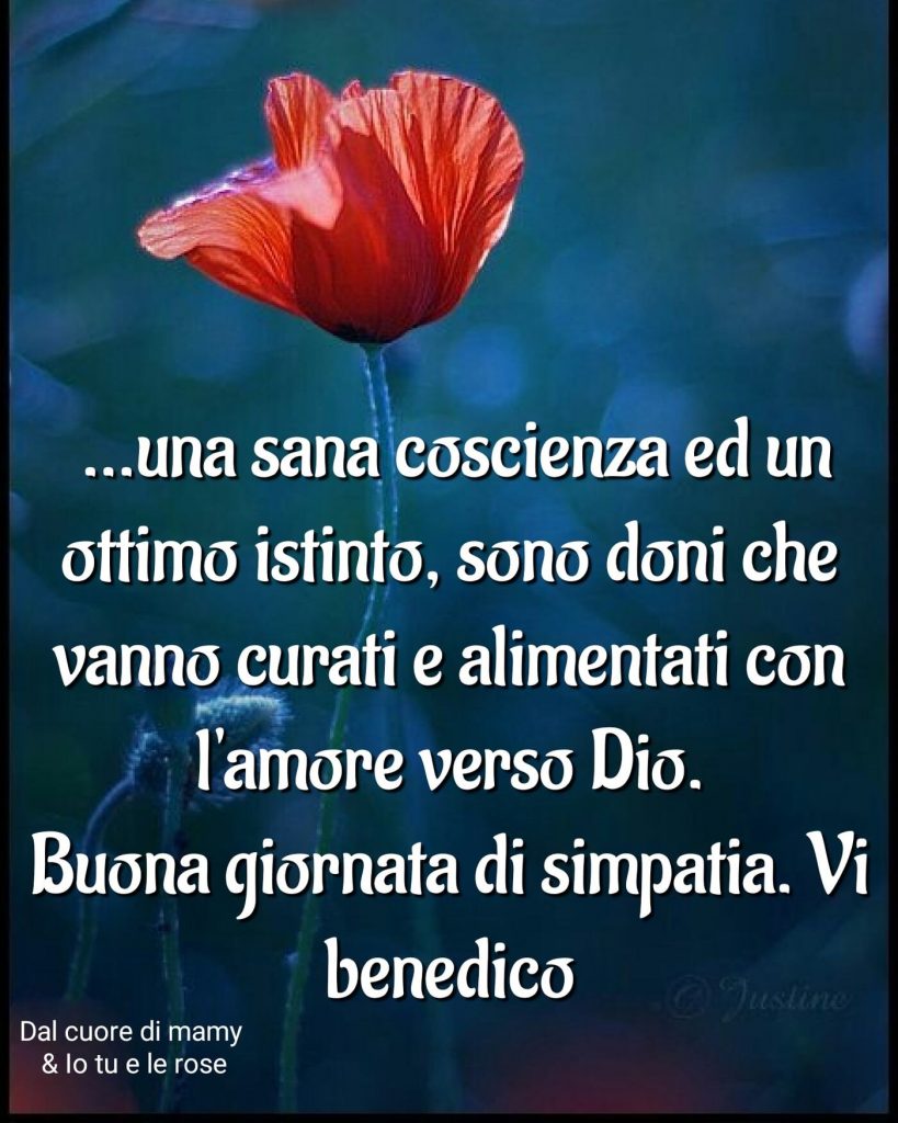 ...una sana coscienza ed un ottimo istinto, sono doni che vanno curati e alimentati con l'amore verso Dio. Buona giornata di simpatia. Vi benedico