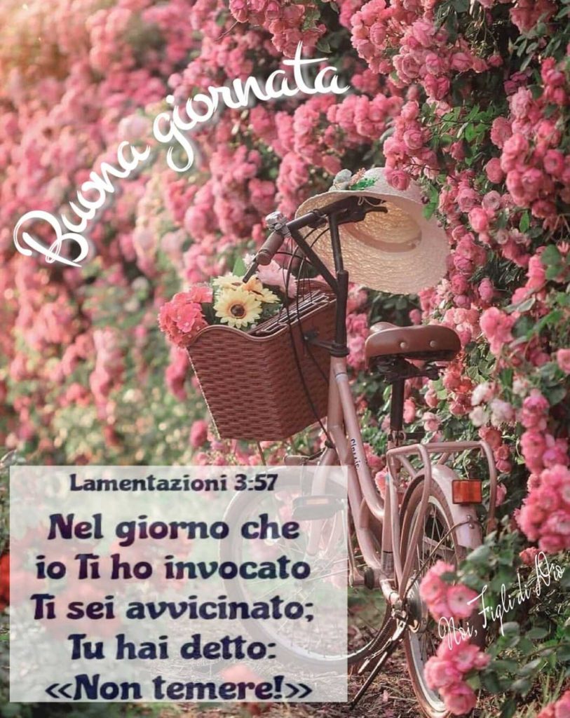 Buona giornata Nel giorno che io Ti ho invocato Ti sei avvicinato; Tu hai detto: << Non temere>>