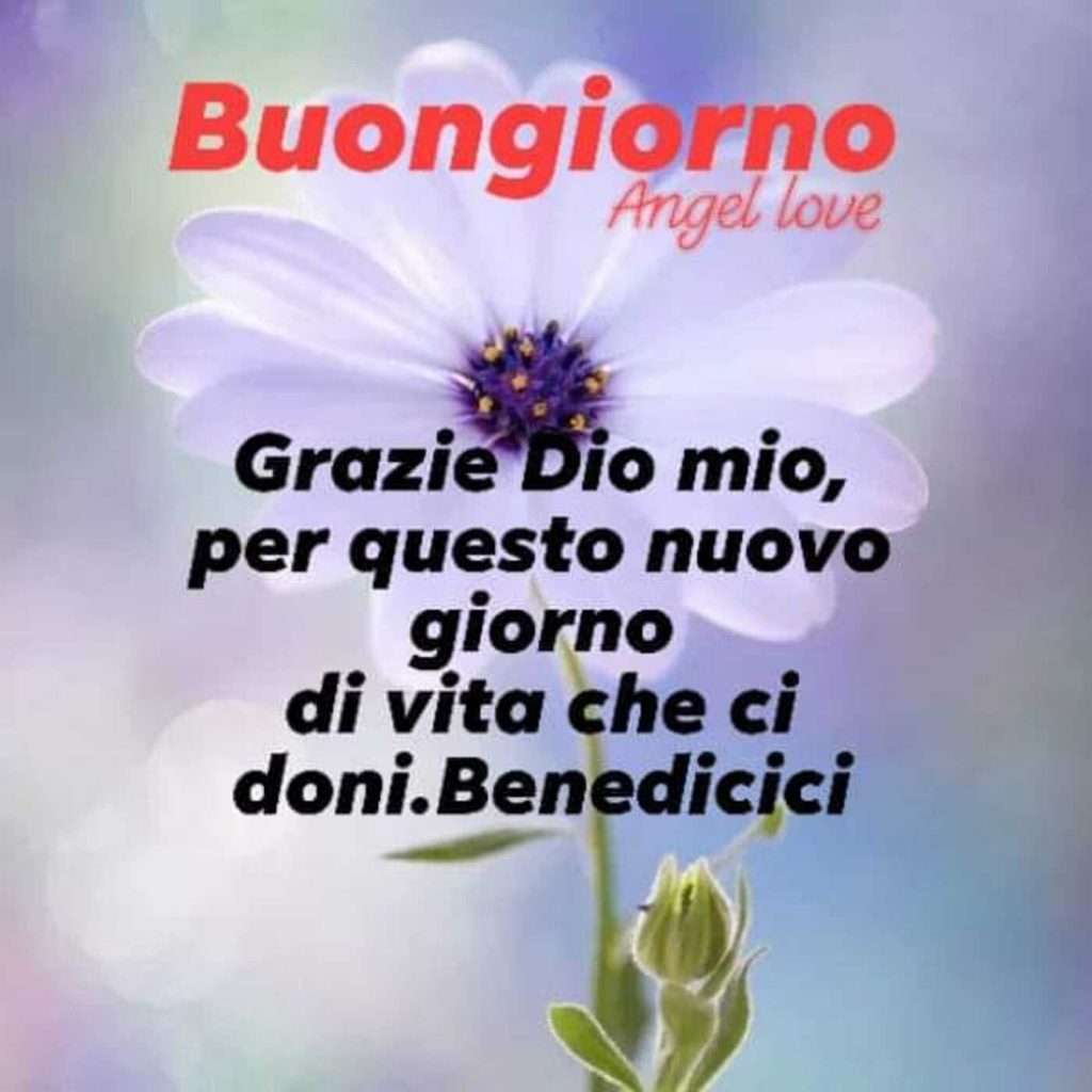 Buongiorno Grazie Dio mio per questo nuovo giorno di vita che ci doni. Benedicici