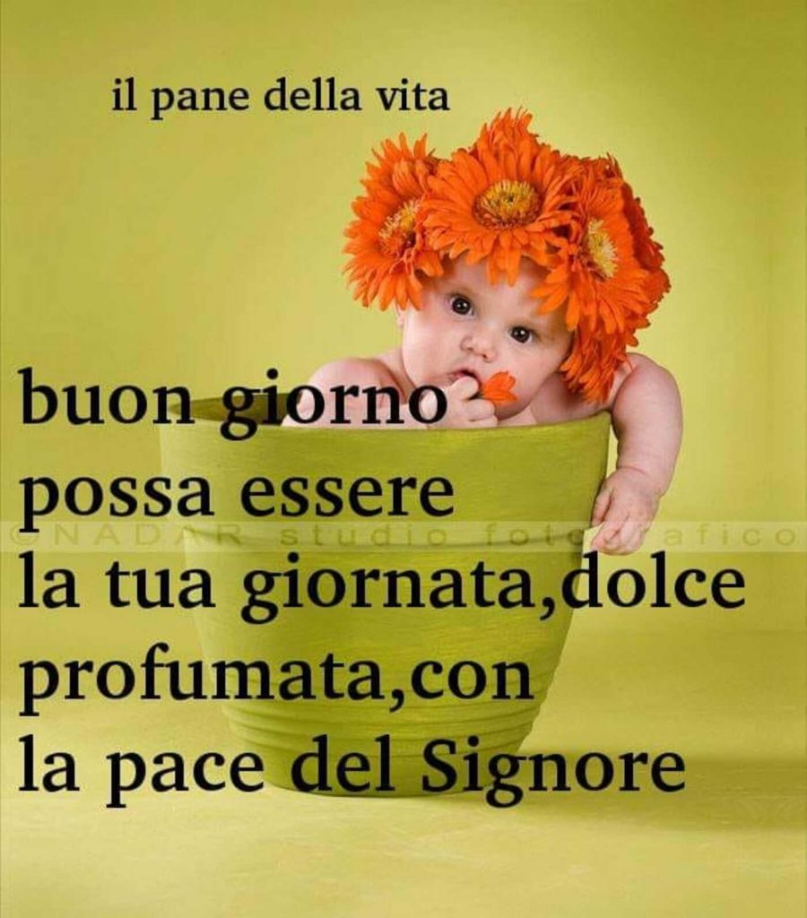 Buongiorno possa essere la tua giornata, dolce profumata, con la pace del Signore