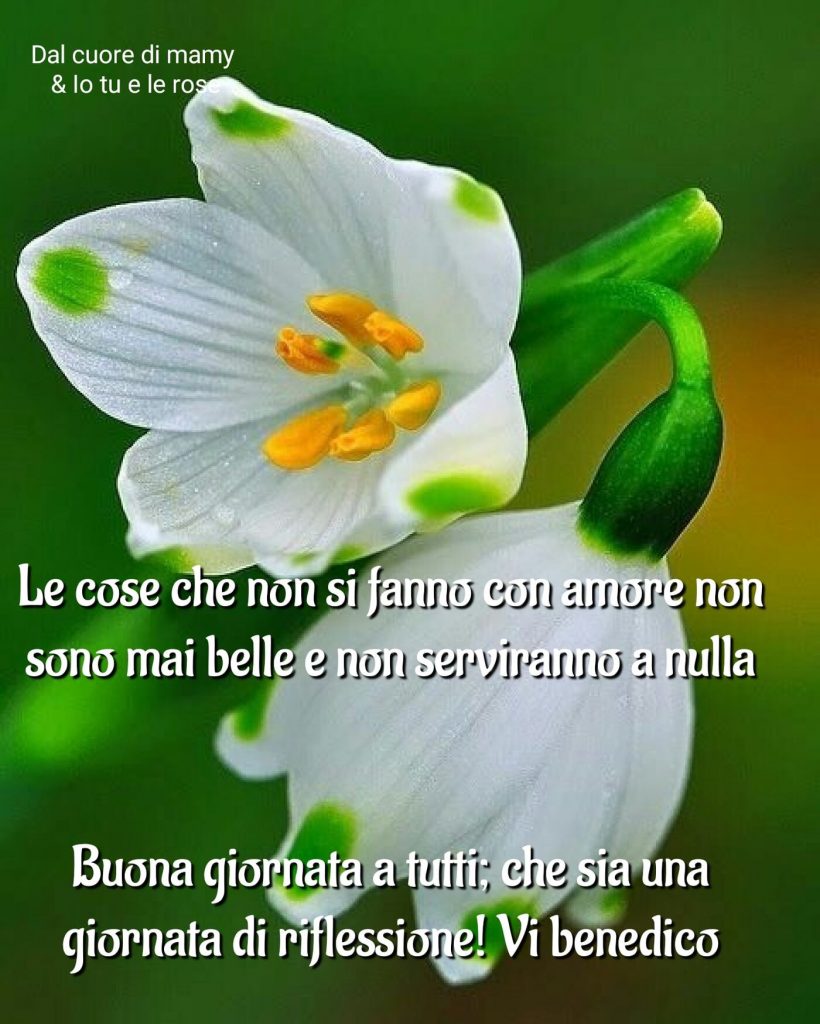 Le cose che non si fanno con amore non sono mai belle e non serviranno a nulla Buona giornata a tutti; che sia una giornata di riflessione! Vi benedico