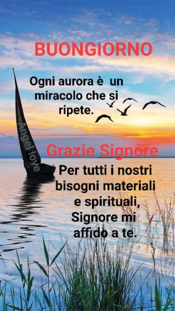 Buongiorno ogni aurora è un miracolo che si ripete. Grazie Signore per tutti i nostri bisogni materiali e spirituali, SIgnore mi affido a te