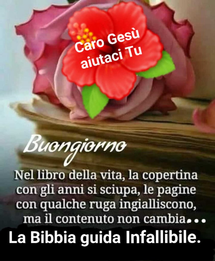 Buongiorno nel libro della vita, la copertina con gli anni si sciupa, le pagine con qualche ruga ingialliscono, ma il contenuto non cambia... La Bibbia guida Infallibile