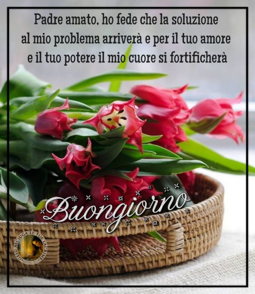 Padre amato, ho fede che la soluzione al mio problema arriverà e per il tuo amore e il tuo potere il mio cuore si fortificherà Buongiorno