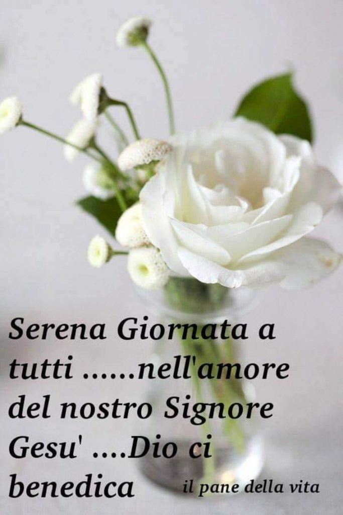 Serena Giornata a tutti...nell'amore del nostro Signore Gesù....Dio ci benedica