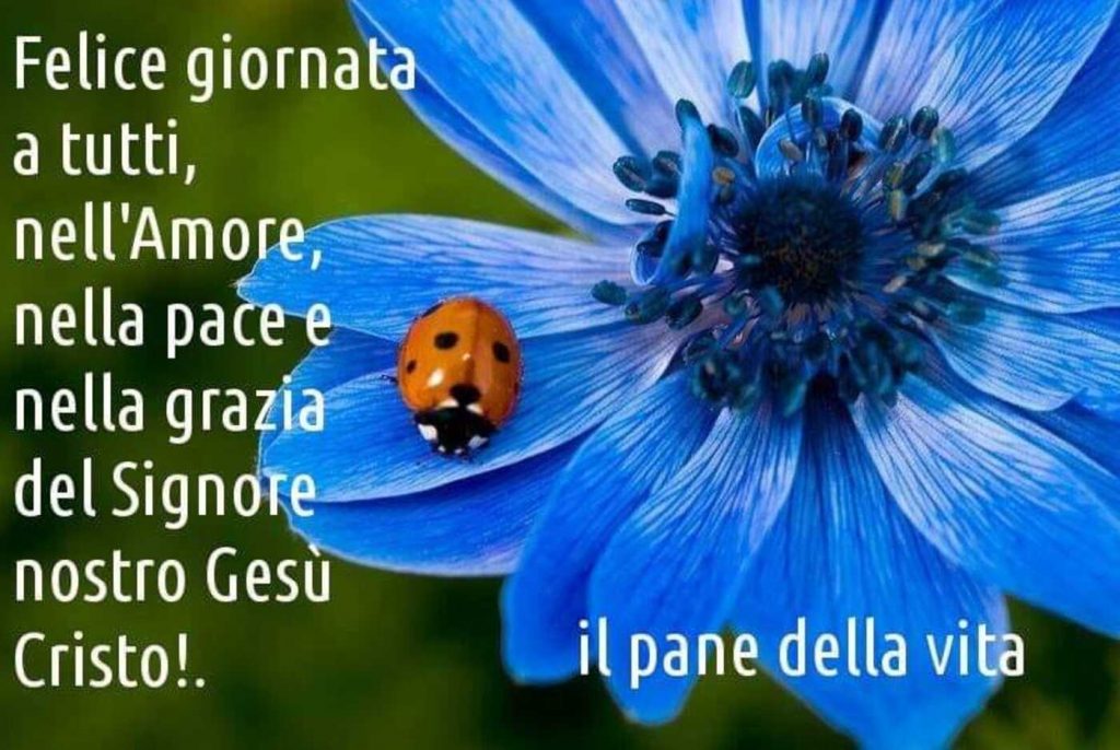 Felice giornata a tutti, nell'amore, nella pace e nella grazia del Signore nostro Gesù Cristo