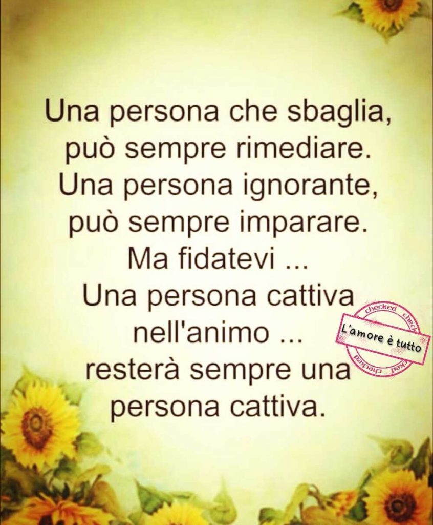 Una persona che sbaglia, può sempre rimediare. Una persona ignorante, può sempre imparare. Ma fidatevi... una persona cattiva nell'animo... resterà sempre una persona cattiva