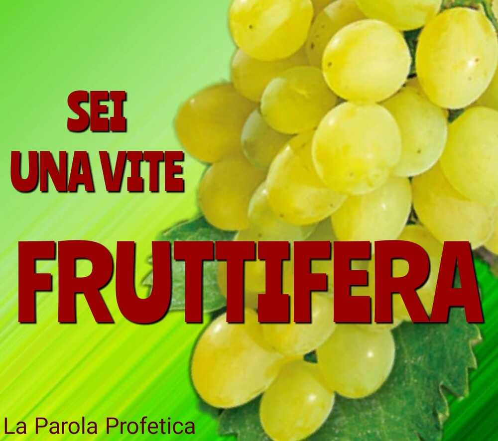 Sei una vite fruttifera