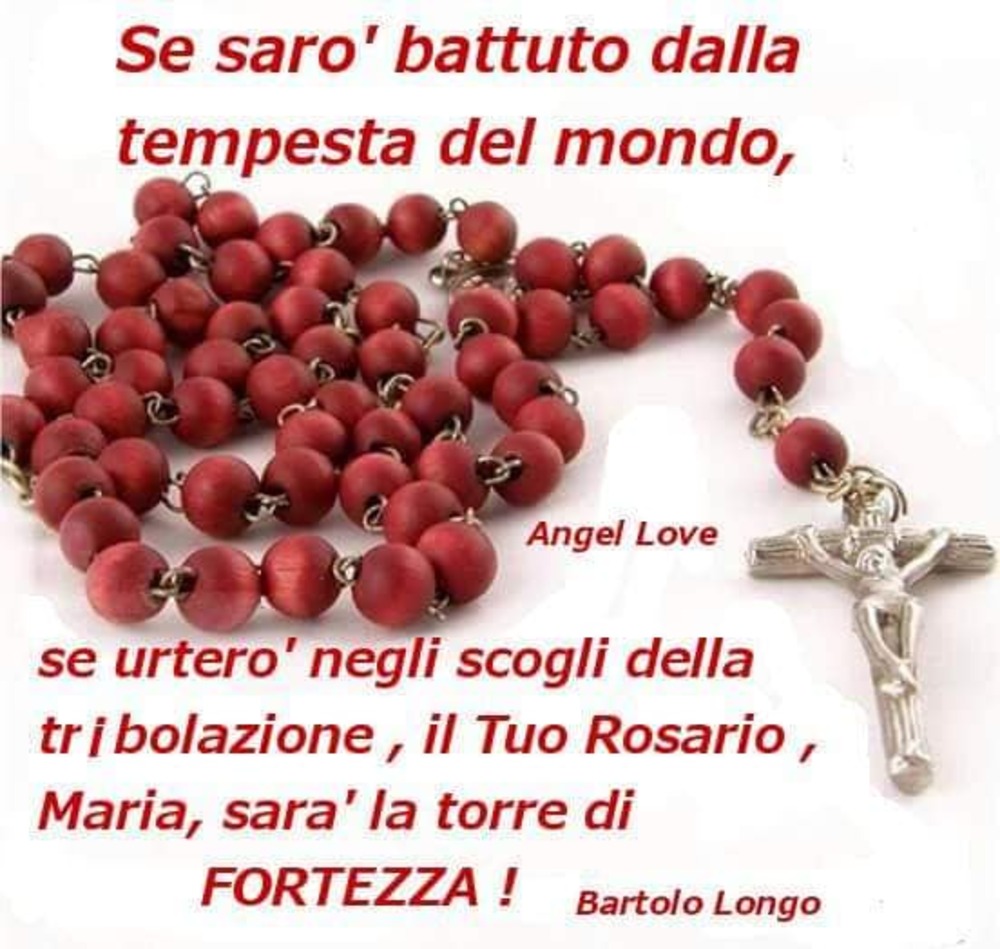 Se sarò battuto dalla tempesta del mondo, se urterò negli scogli della tribolazione, il Tuo Rosario, MAria, sarà lla torre di Fortezza!