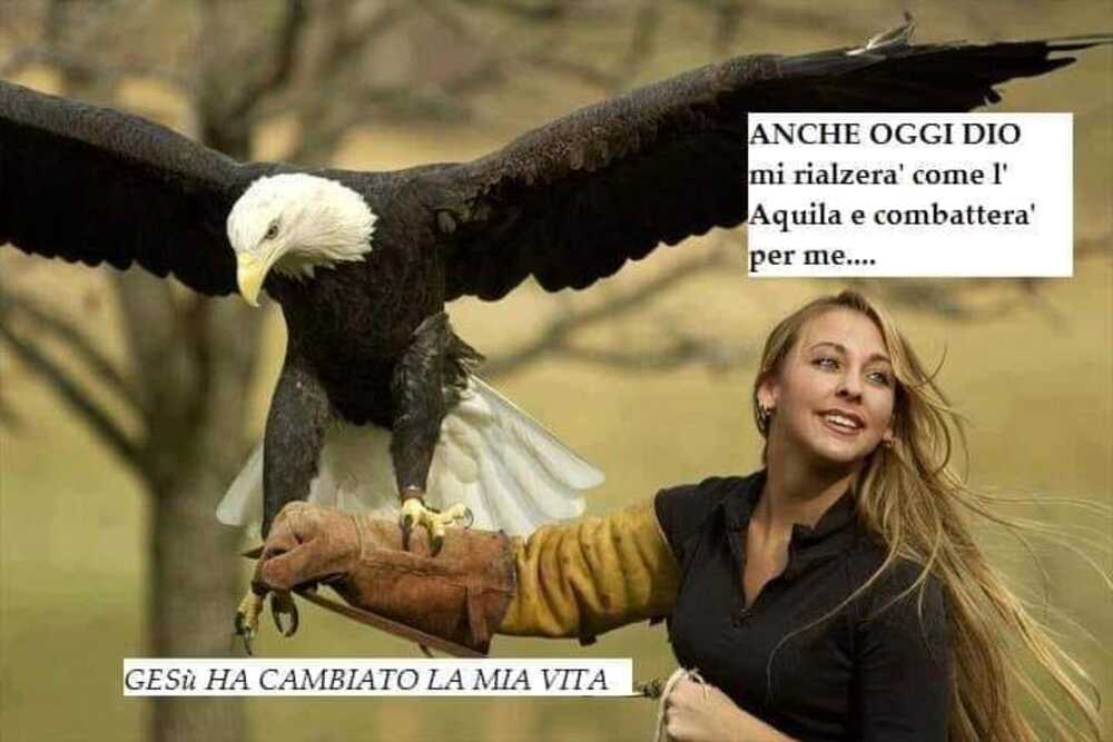 Anche oggi Dio mi rialzerà come l'aquila e combatterà per me