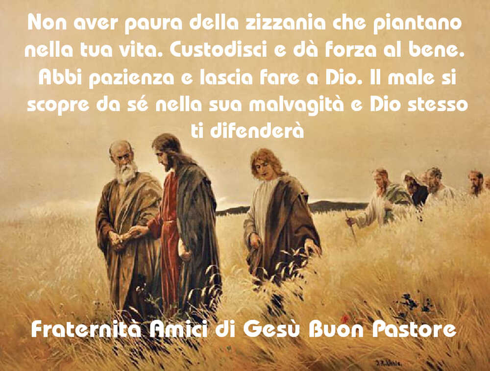 Non aver paura della zizzania che piantano nella tua vita. Custodisci e dà forza al bene. Abbi pazienza e lascia fare a Dio. Il male si scopre da sé nella sua malvagità e DIo stesso ti difenderà
