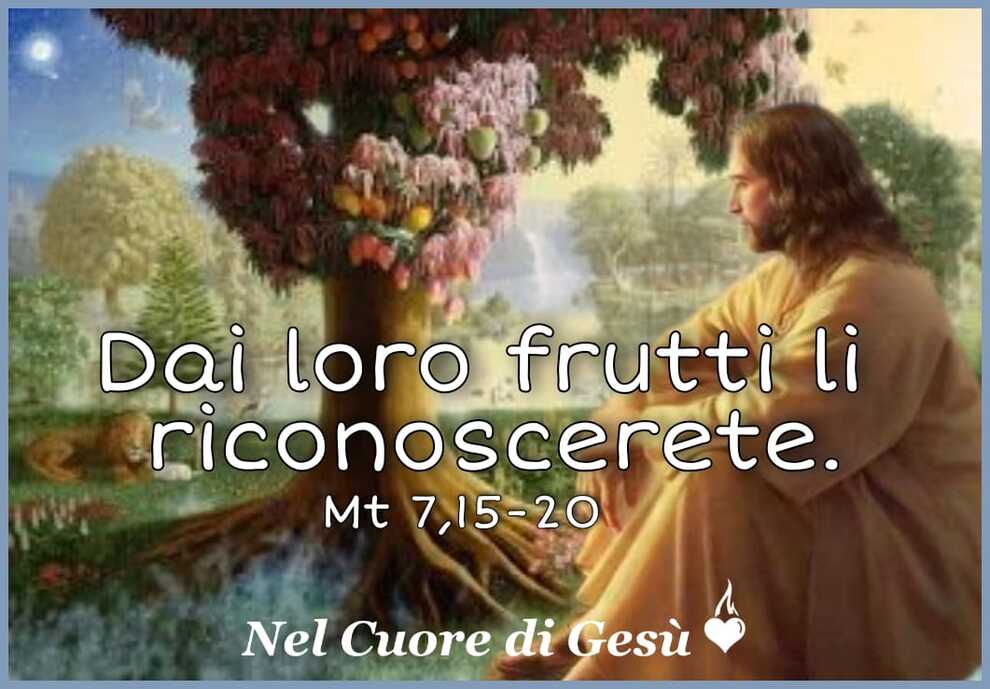 Dai loro frutti li riconoscere (Mt 7,15-20)