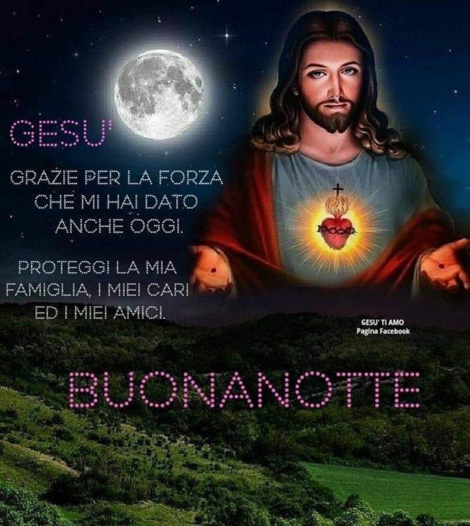 Gesù grazie per la forza che mi hai dato anche oggi. Proteggi la mia famiglia, i miei cari ed i miei amici Buonanotte