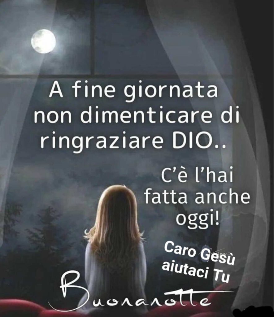 A fine giornata non dimenticare di ringraziare Dio.. Ce l'hai fatta anche oggi! Buonanotte