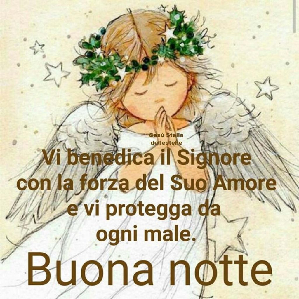 Vi benedica il Signore con la forza del Suo amore e vi protegga da ogni male. Buonanotte