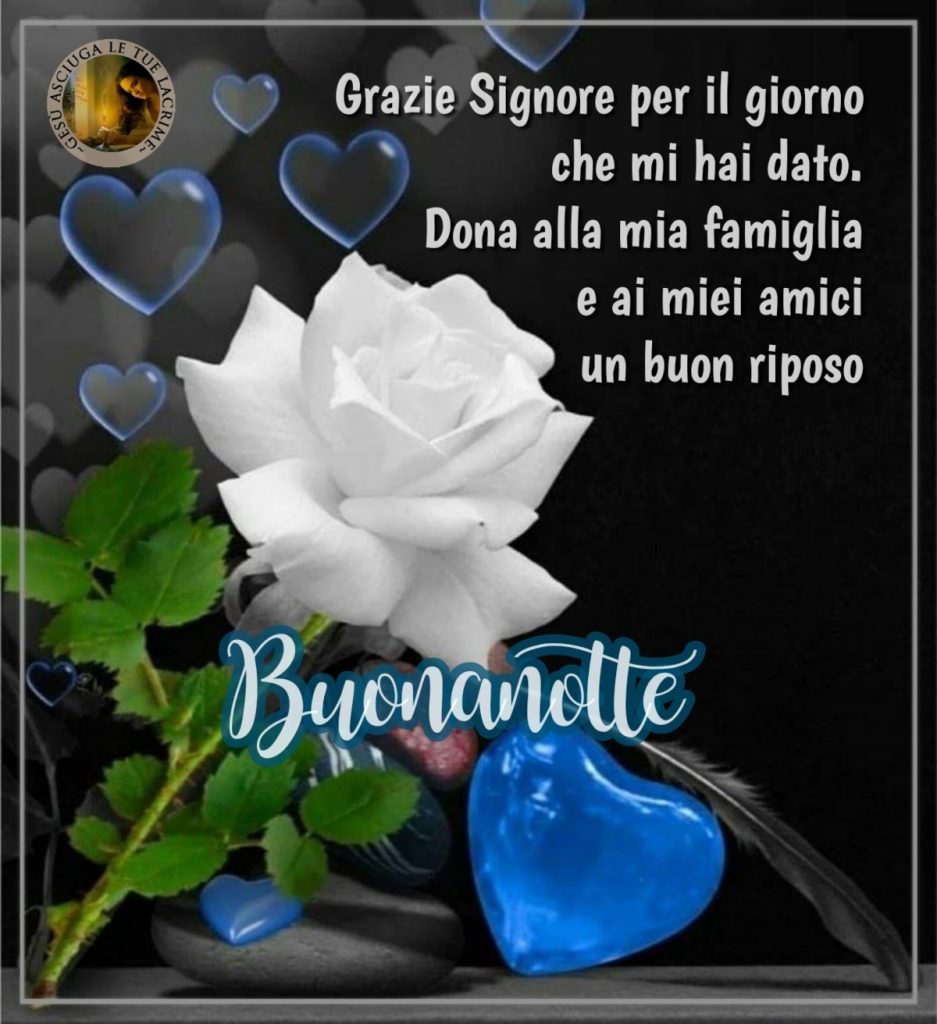 Grazie Signore per il giorno che mi hai dato. Dona alla tua famiglia e ai miei amici un buon riposo Buonanotte