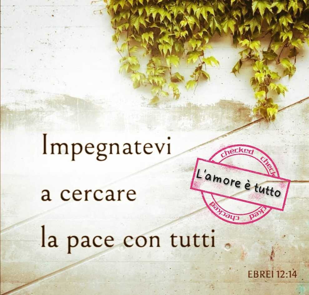 Impegnatevi a cercare la pace con tutti (Ebrei 12:14)