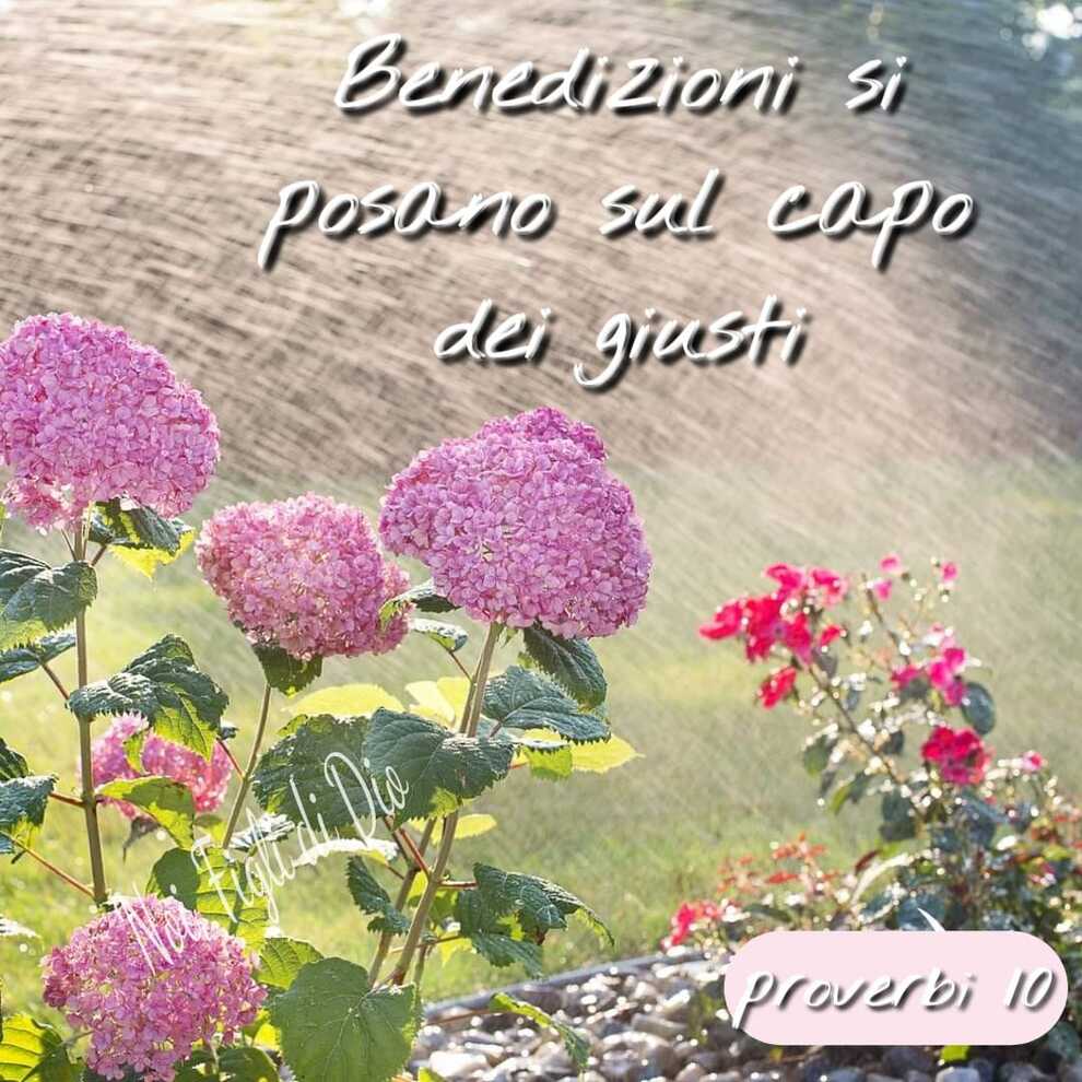 Benedizioni si posano sul capo dei giusti (Proverbi 10)